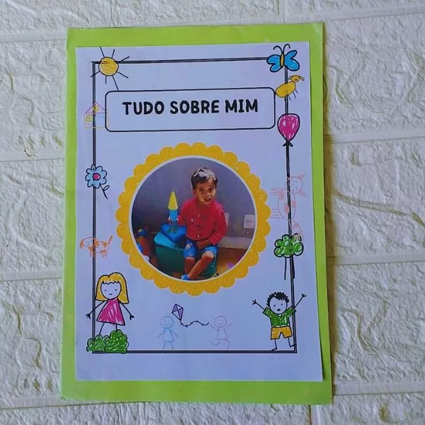 Livro:Tudo sobre Mim